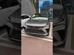 ODM スポーツ 5 ドア ジーリー カー ビンユー 高品質 ガソリン カー SUV 新品