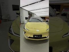 高級 成人 パーソナル メーカー IM 電動車 IM LS7 バッテリー 電動車 新車