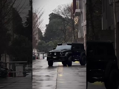 良い状態 新バージョン 3.0T タンク 300 SUV 4WD ハイブリッドEV ガソリン 新車