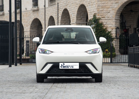 パーソナライズできるファッション パーソナライズされたメーカー 自動車 BYD EV カー シグール 車