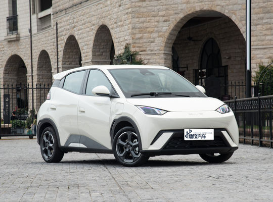良い価格 競争力のある自動車 工場 2WD BYD EV カー シガール 4 座席 純新エネルギー車 ミニ EV 車