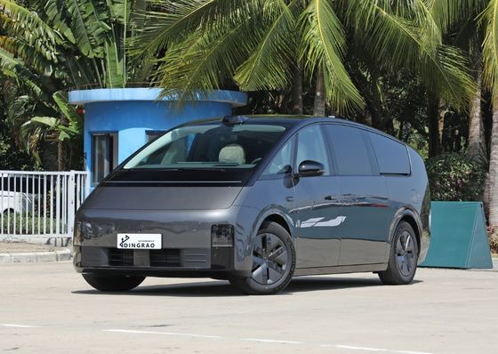 成人用 パーソナル メーカー リシアン メガ電気自動車 5人乗りの MPV オート 純新エネルギーEVカー