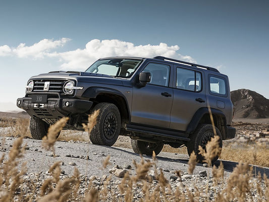 良い状態 新バージョン 3.0T タンク 300 SUV 4WD ハイブリッドEV ガソリン 新車