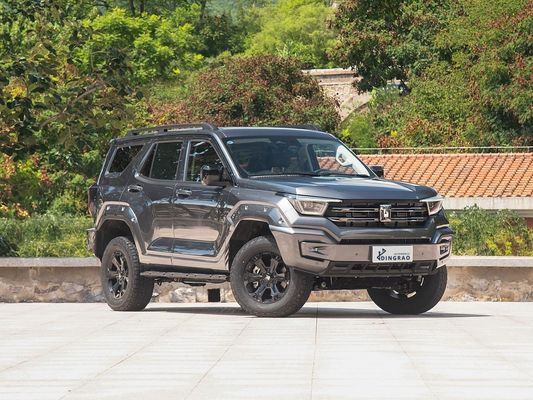 中国製 競争力のある4WD 新エネルギーハイブリッドEV燃料 新車