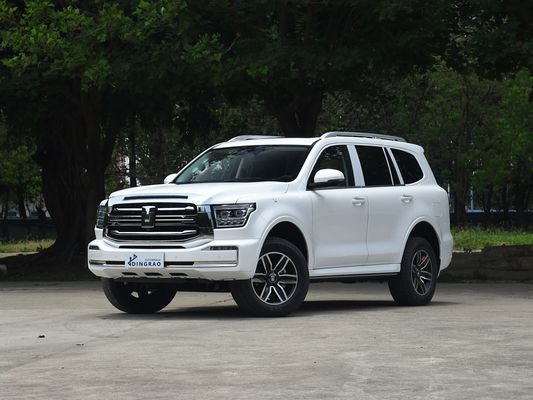競争力のある5人座5ドア3.0Tタンク 500SUV 500Nm 265KW 360Ps 4WD 新エネルギーハイブリッドEV ガソリンガソリン燃料 新車