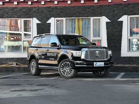 輸出 高級 製造 中国 5 席 5 ドア 3.0T タンク 500 SUV ハイブリッド EV ガソリン 新車
